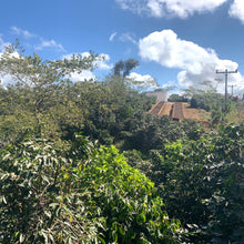 Ladda upp bild till gallerivisning, Cerro Azul, Natural Java, Honduras

