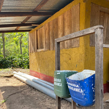 Load image into Gallery viewer, Limoncillo, Washed Caturra, Nicaragua

