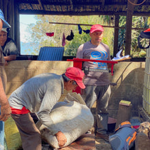 Load image into Gallery viewer, Finca Nejapa, Natural Mamut, El Salvador
