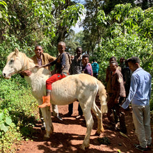 Load image into Gallery viewer, Ana Sora, Washed, Ethiopia
