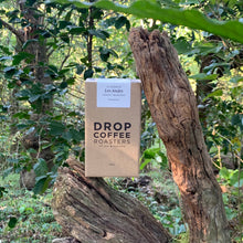 Load image into Gallery viewer, Los Andes, Washed SL28, El Salvador
