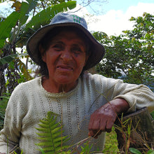Load image into Gallery viewer, Carmelita, Honey Caturra, Bolivia
